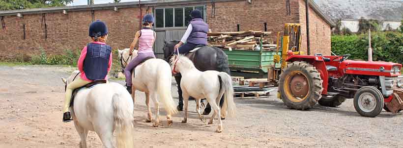 Leaving Netherton Livery