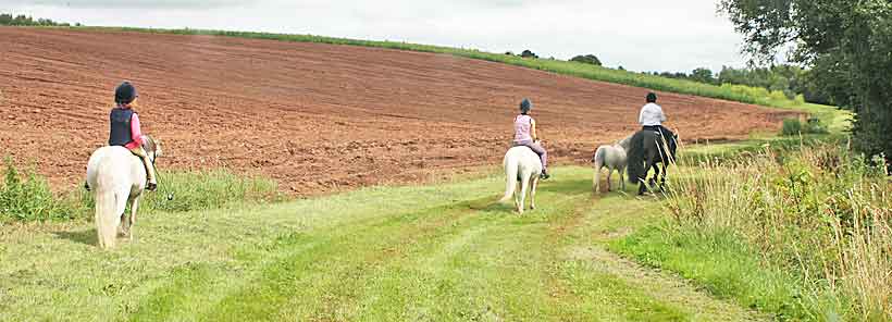 350 acres of farmland